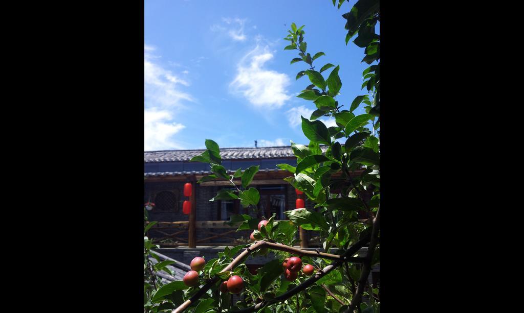 Lijiang Lazy Tiger Inn Lijiang (Yunnan) Exterior photo