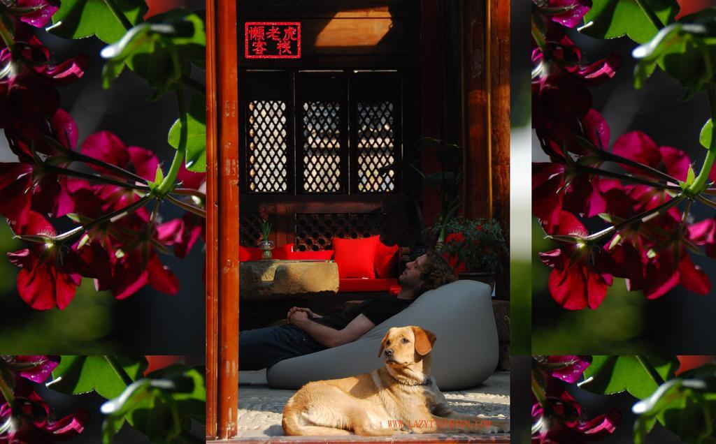 Lijiang Lazy Tiger Inn Lijiang (Yunnan) Exterior photo