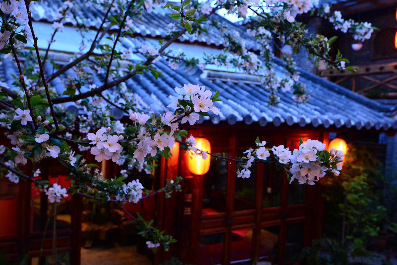 Lijiang Lazy Tiger Inn Lijiang (Yunnan) Exterior photo